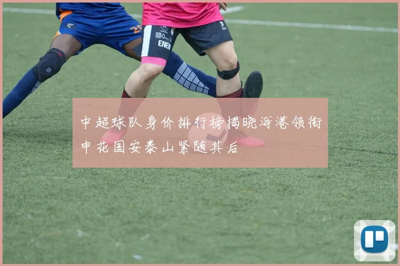 中超球队身价排行榜揭晓海港领衔申花国安泰山紧随其后