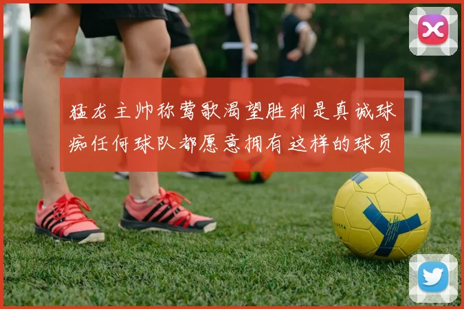 猛龙主帅称莺歌渴望胜利是真诚球痴任何球队都愿意拥有这样的球员