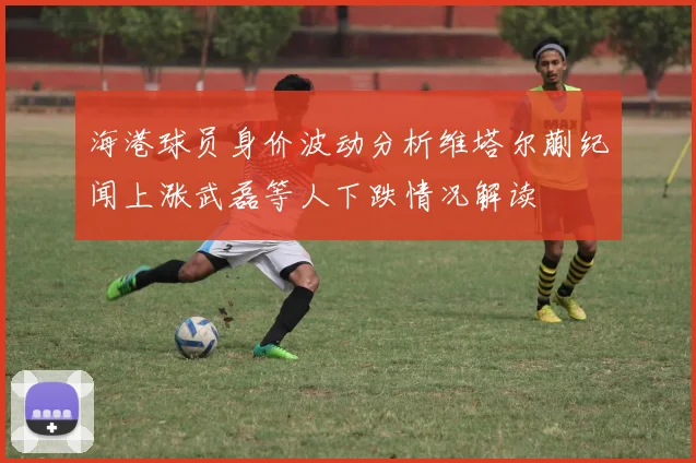 海港球员身价波动分析维塔尔蒯纪闻上涨武磊等人下跌情况解读